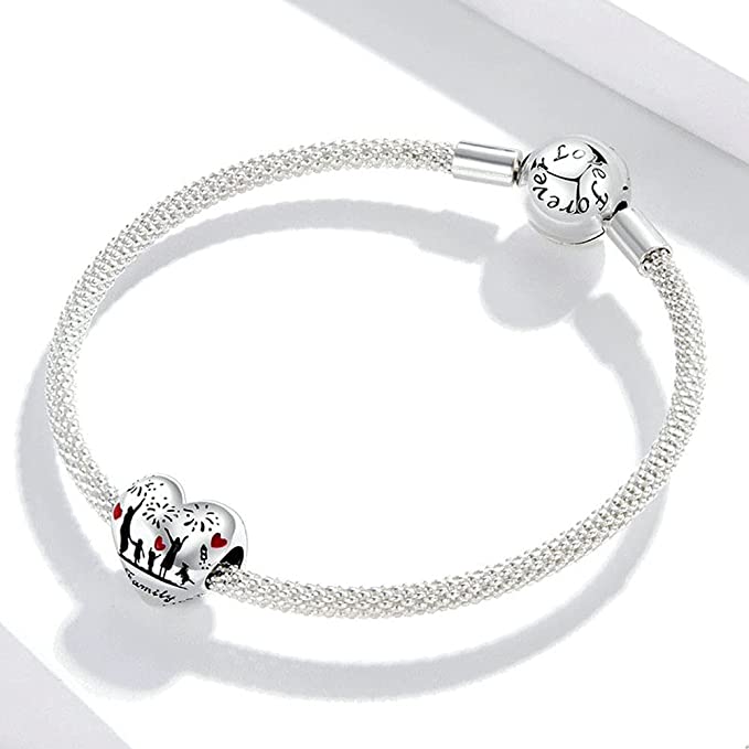 Love of Family Heart Charm for Bracelet, S925 Sterling Silver